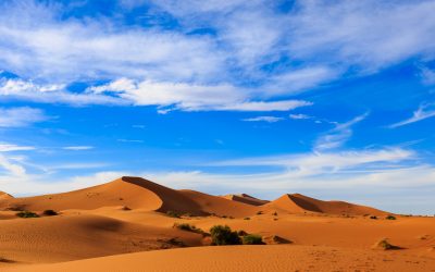 How a 3-Day Desert Tour from Marrakech to Fes Creates Lasting Travel Memories
